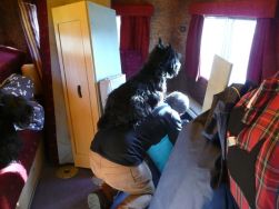 In our motorhome - always being nosey