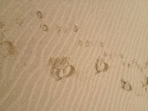 Our foot prints in the sand, Mablethorpe