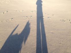 Me and my Shadow
